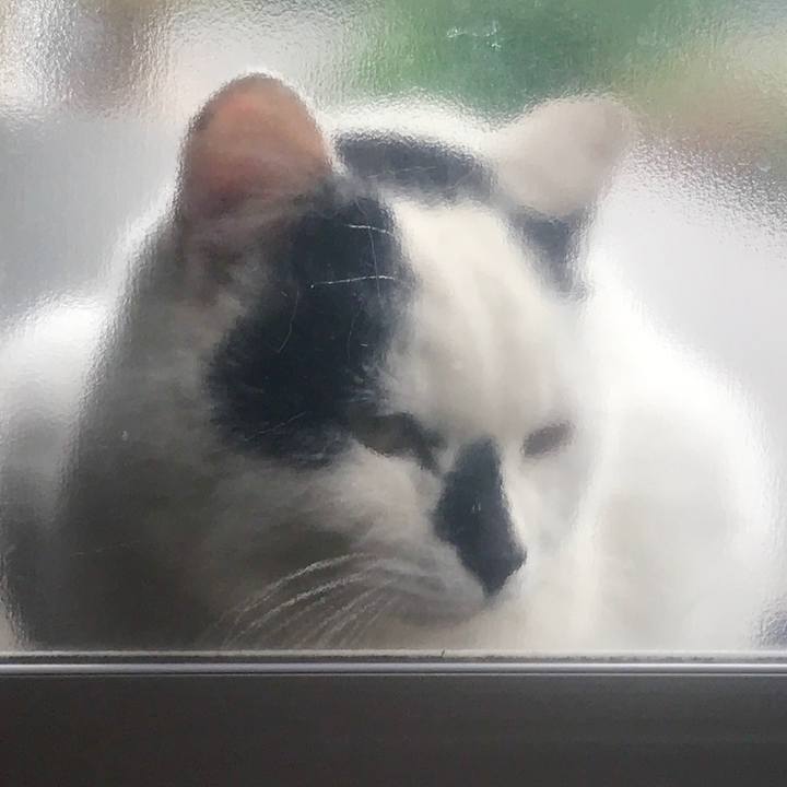 27768957 4304 45e3 81b6 64e336d3288b