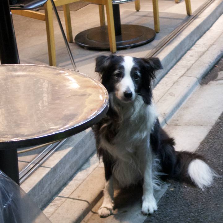 27769641 6645 4736 a225 2280c7b453f2