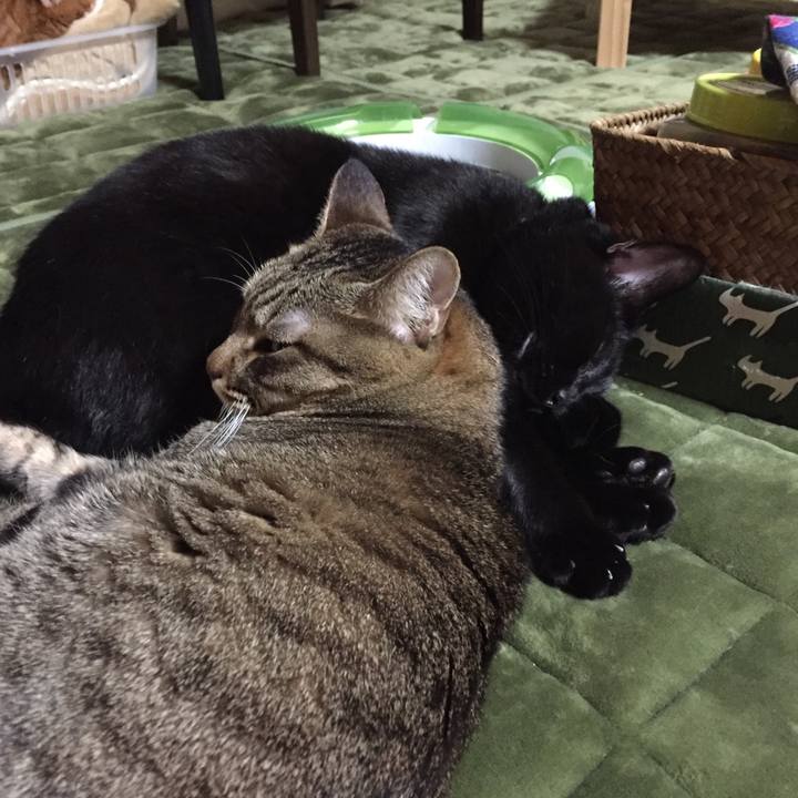 2776e0b2 d1ae 4780 8db4 22ea2b9f9aad