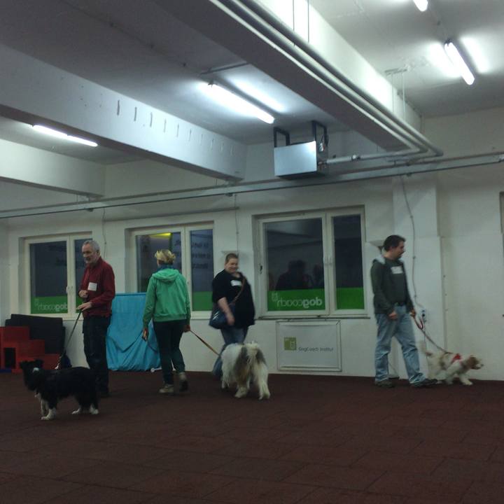 2777b17e f17a 4ff9 9a98 8f4f8a2b37d8