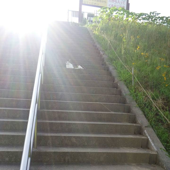 2778dc6f b773 4e17 9d47 b23b01f67942