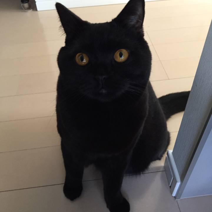 27799047 4630 40d9 af1d 26912ca380c9