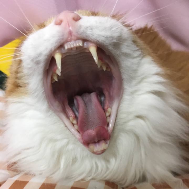 277a4562 24c2 47f8 8909 4757ee26fee7