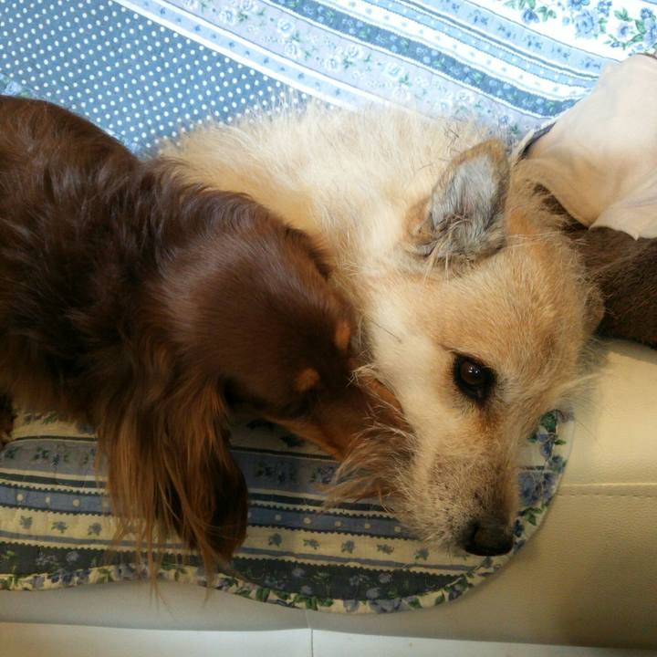 277b16eb 4b70 4295 aaad 2d7681416532