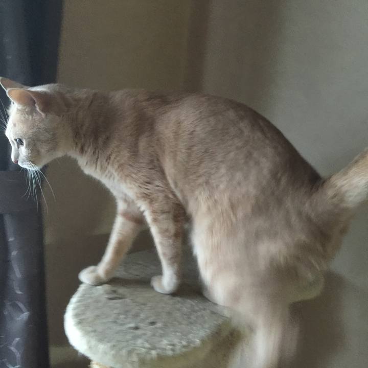 277b92d0 a2e7 4959 946c b432323b3389