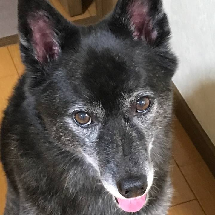 277bbae7 6f14 4982 a0d5 10641e8eae29