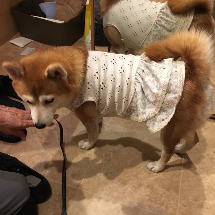 277bd334 9817 4adb b4a1 018425055395