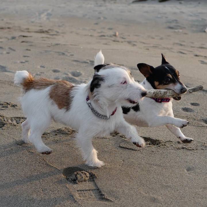 277c2368 dbbb 4d32 a972 dad7c760f42c