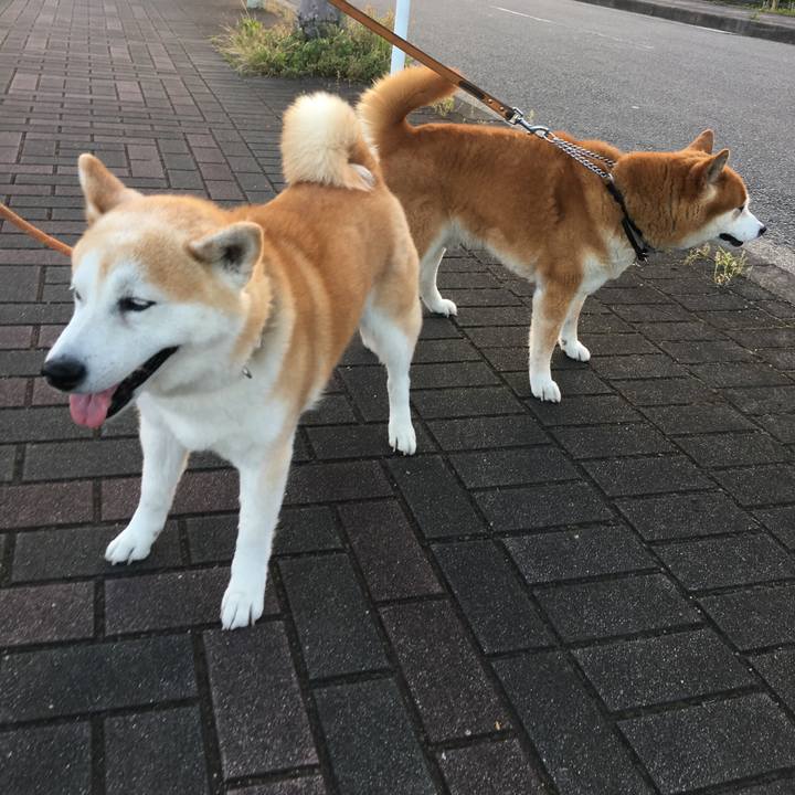 277c7e03 2539 48ba 8675 63b4711fe234