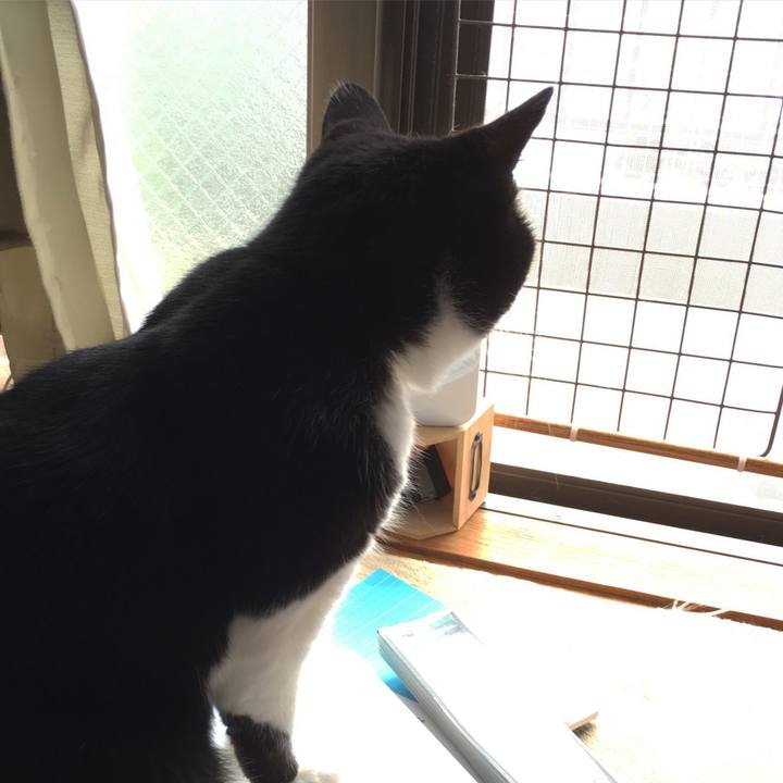 277c9cbe 71f0 4f89 8f9a e3fbc8701844