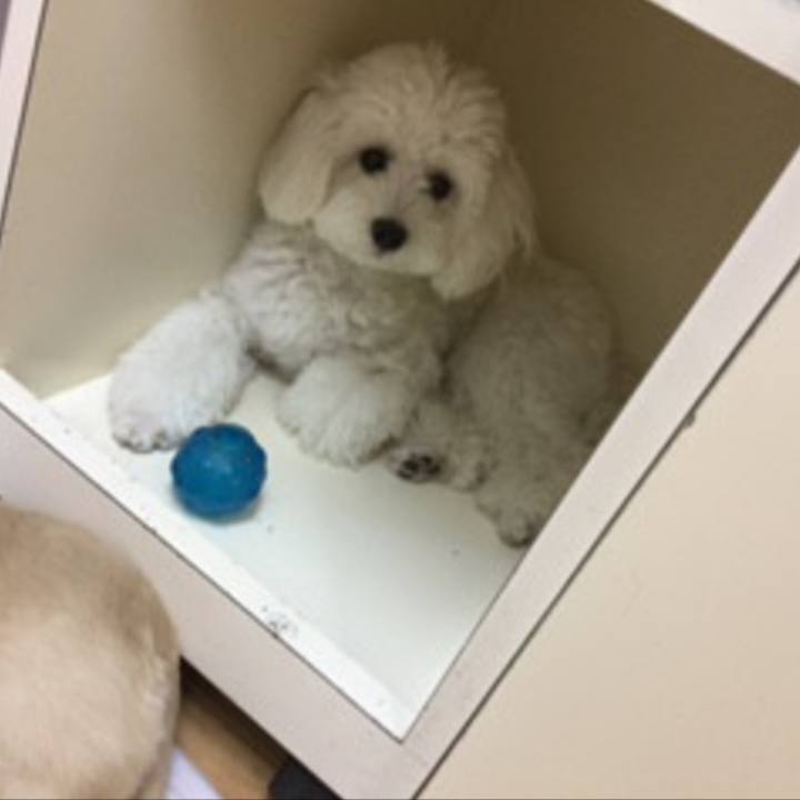 277cac58 3566 4d02 ab9b dafe2e182262