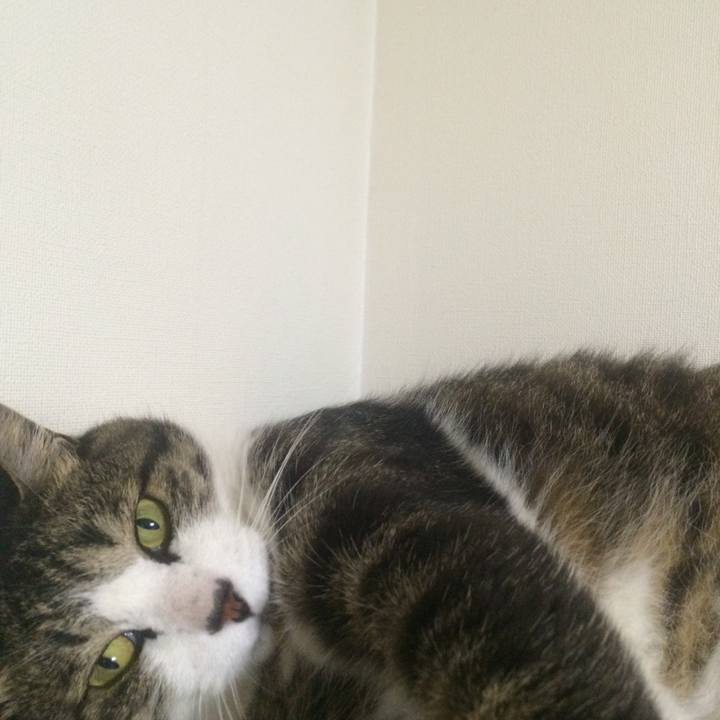 277d2640 c68e 48f8 bbf6 75b199e55e2a