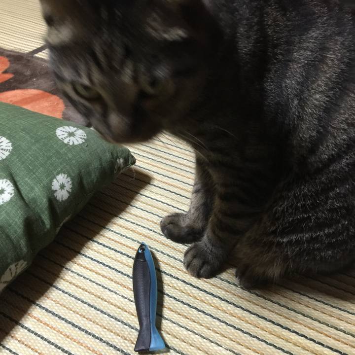 277d537f 4f1c 4aa4 a413 4a68ec9a75d5