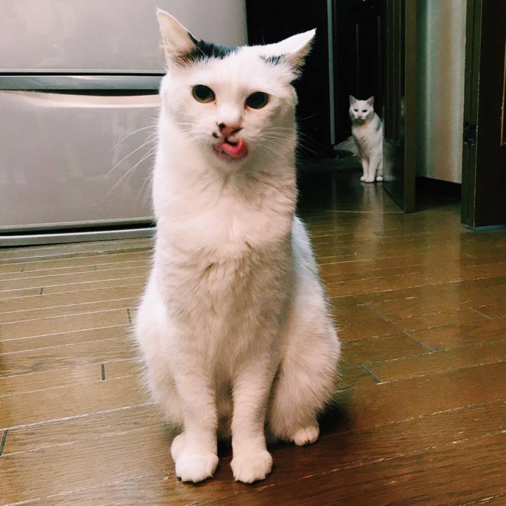 277dee89 1177 4b65 8cd9 c7367ebf1906