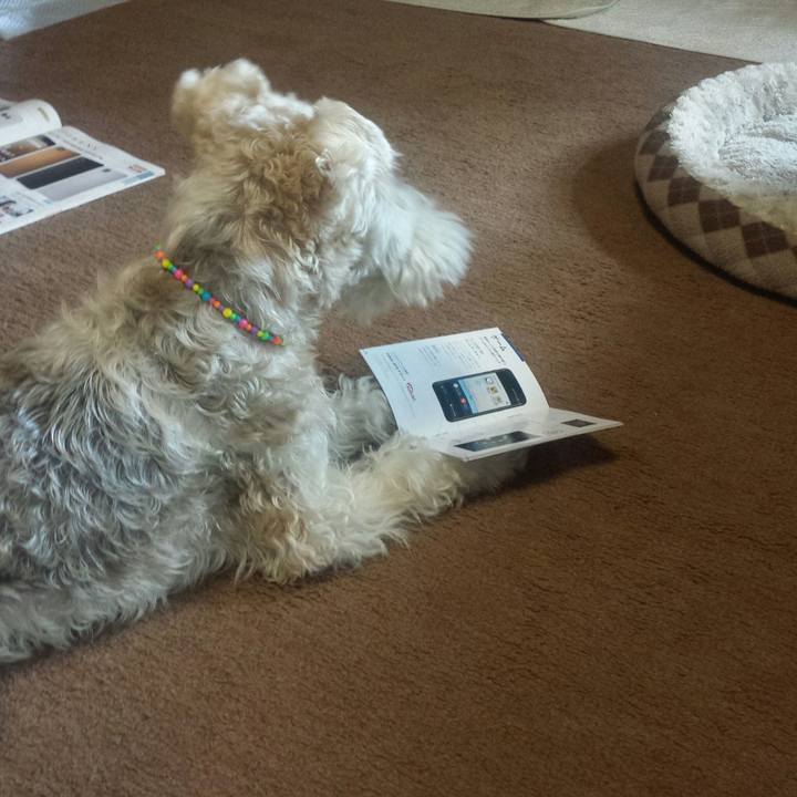 277e020a 89d5 4819 8255 474ec3326bdc