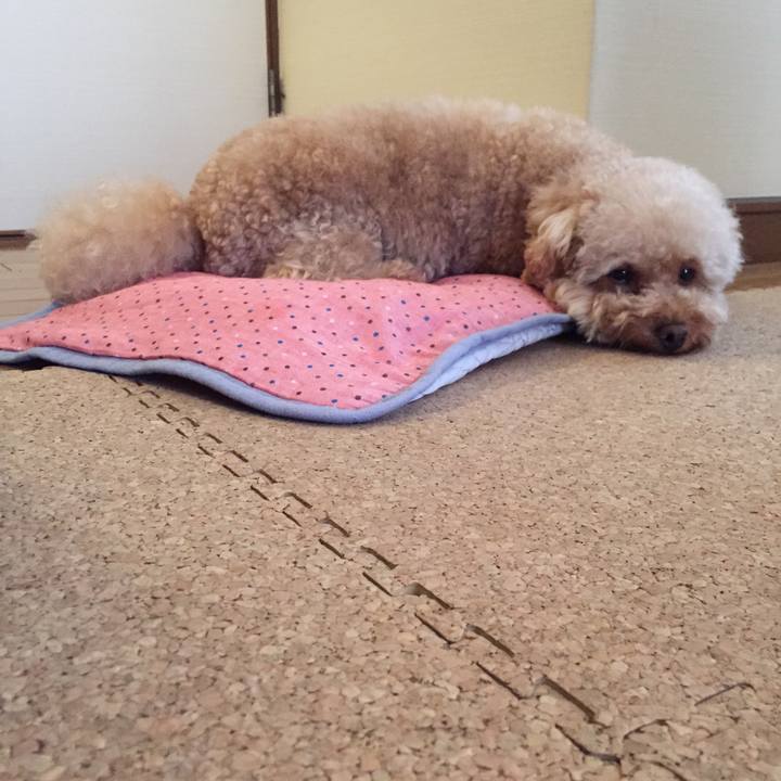 277e0f4d 5dea 4f1b 9994 348b78f54e5f