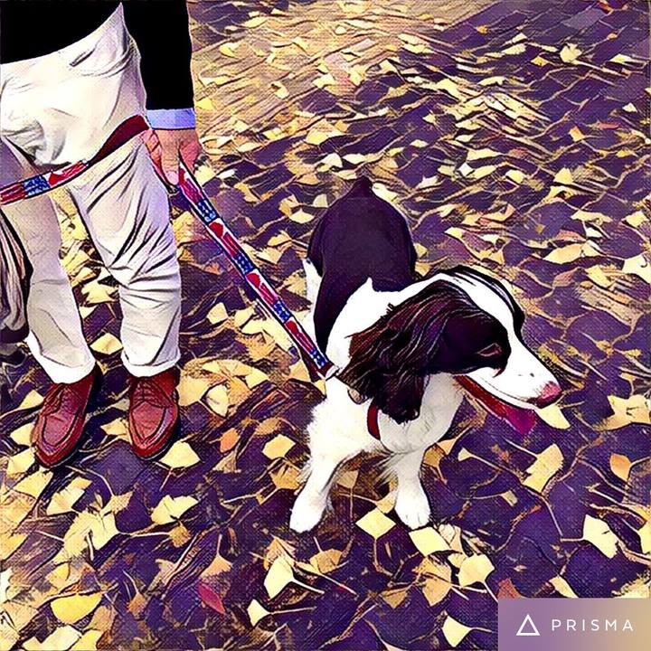 277ed06d 287c 4d32 a26f 10882ba8e49a