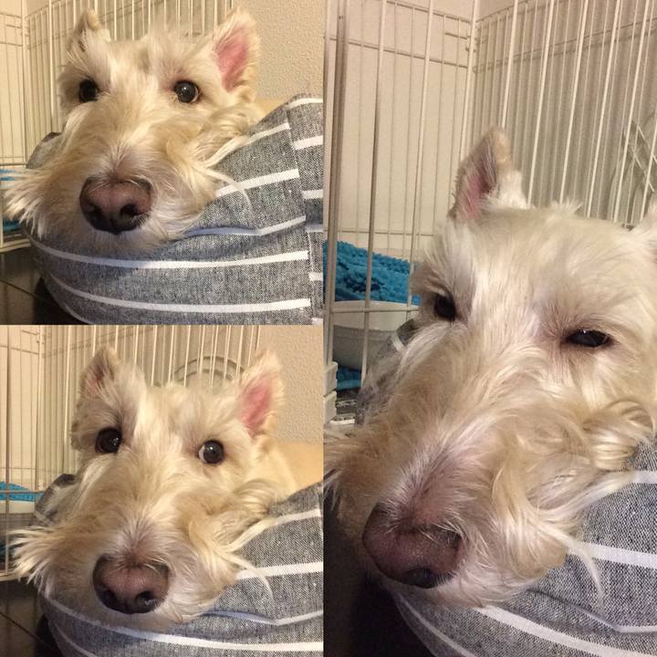 27807bfe d073 484e a5a9 90e04f6fda73