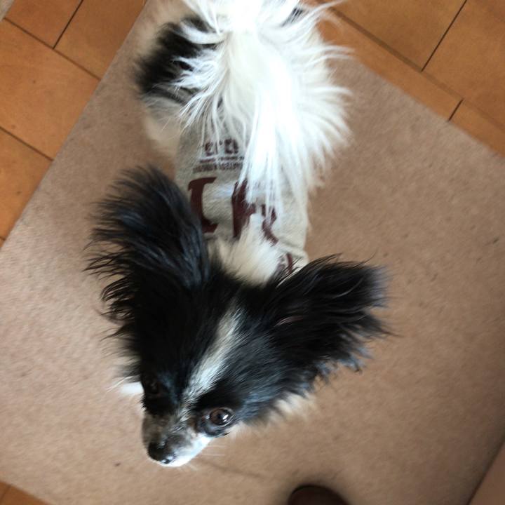 2780c20b a322 417b b149 a02208168fed