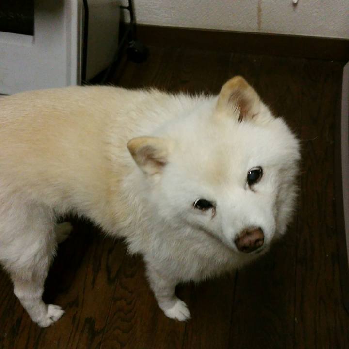 2782a018 1792 4359 938d 0101cab6c28e