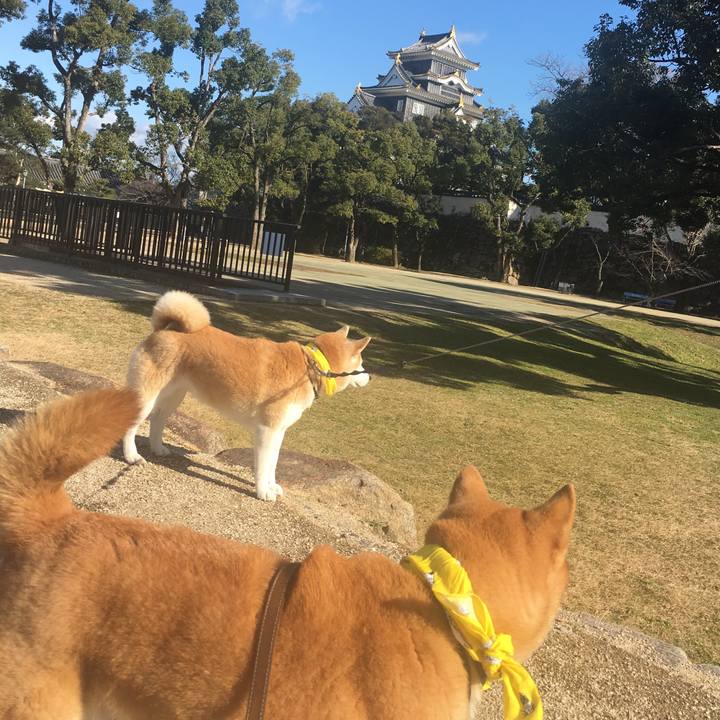 2783f606 4484 4a4d 8e87 b7bff11a5f9b