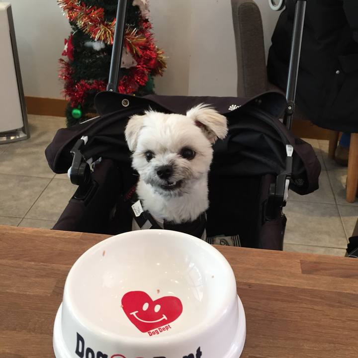 2783ff5d b257 4be9 becc d48eda4c129d