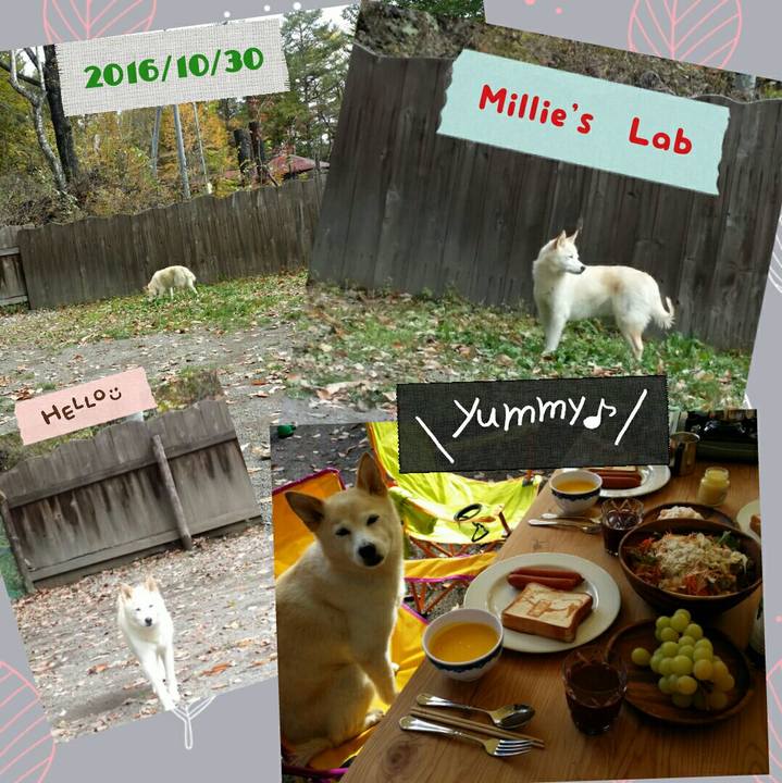 27840bdc 02f1 4ebb 8eea 448de4d07b92