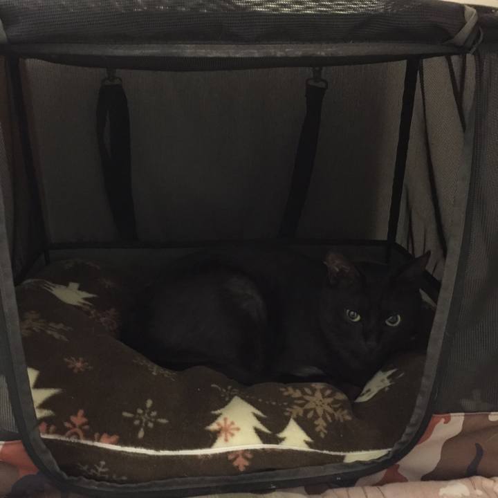 2784179b 0554 4b29 9ba2 aaed4ced158d