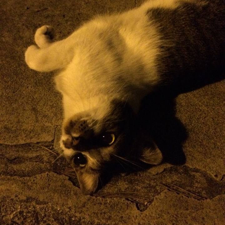 2784311a ad3d 43e2 8c37 2944bebe51fa