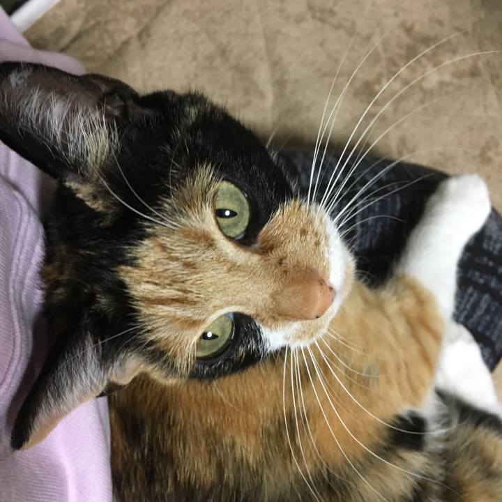 278471d9 f65c 4445 ac99 cac4b0abb19a