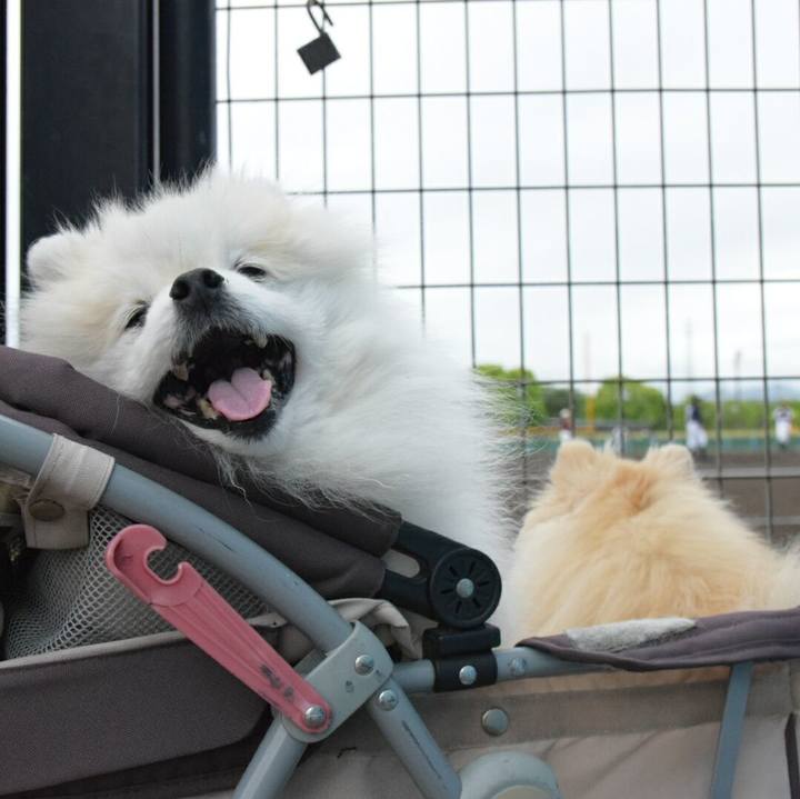 27855240 7f30 4d57 a807 006155cfa91d