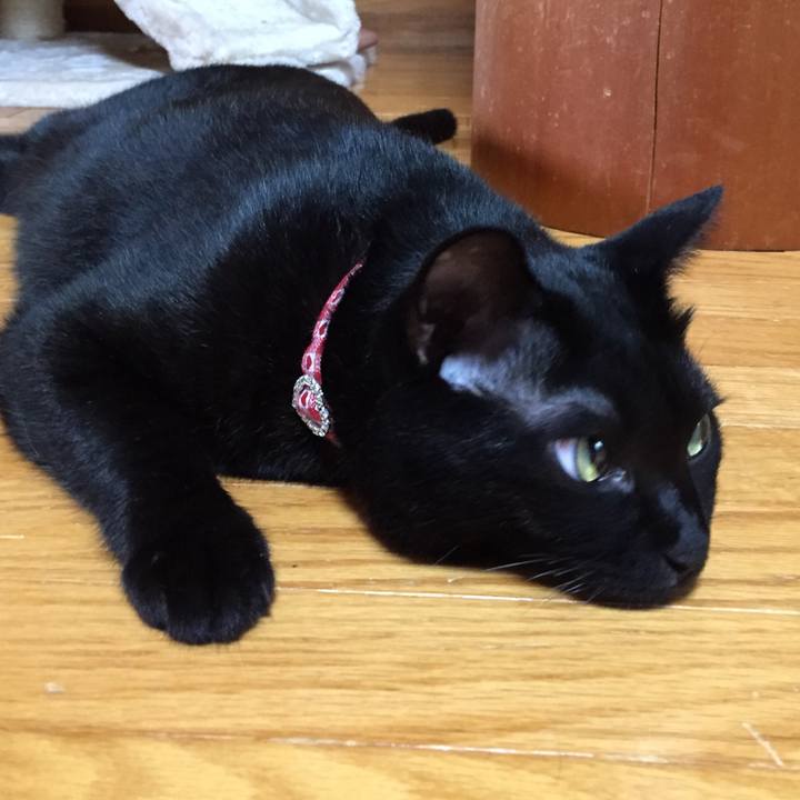 2785c728 0a16 4a86 98a3 3621bcb22dfb