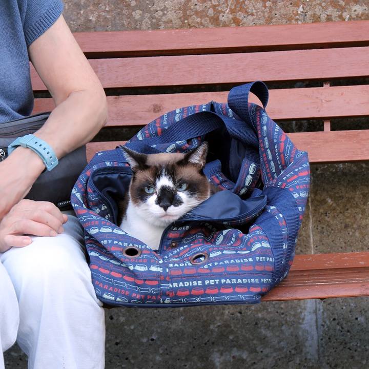 278601f3 6e70 4f21 bdb4 3e5b7b6b6bdc