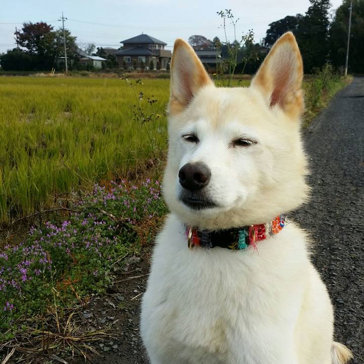 27866128 516c 41ee 913a 4000af8c628e