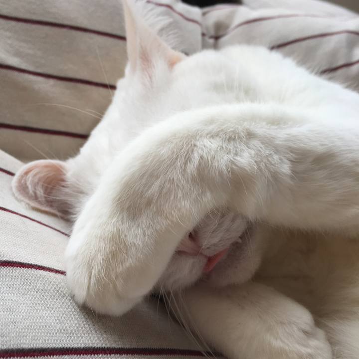 2787199a 5379 4c85 b99b 29516db36e61