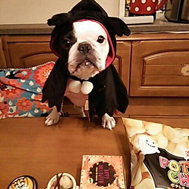 2787755c 5dc5 4515 88a1 55e4957ee87d