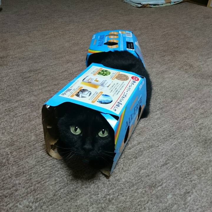 278902f8 9be3 4e3a 9c5f 7601e5a78c29