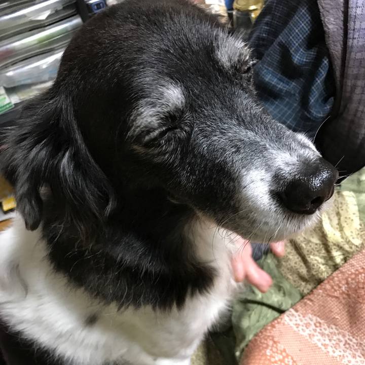 27894410 79ea 4947 b905 cc0e28520bdb