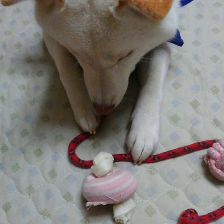 27896c82 311b 4dba 9bd8 acce263c7995