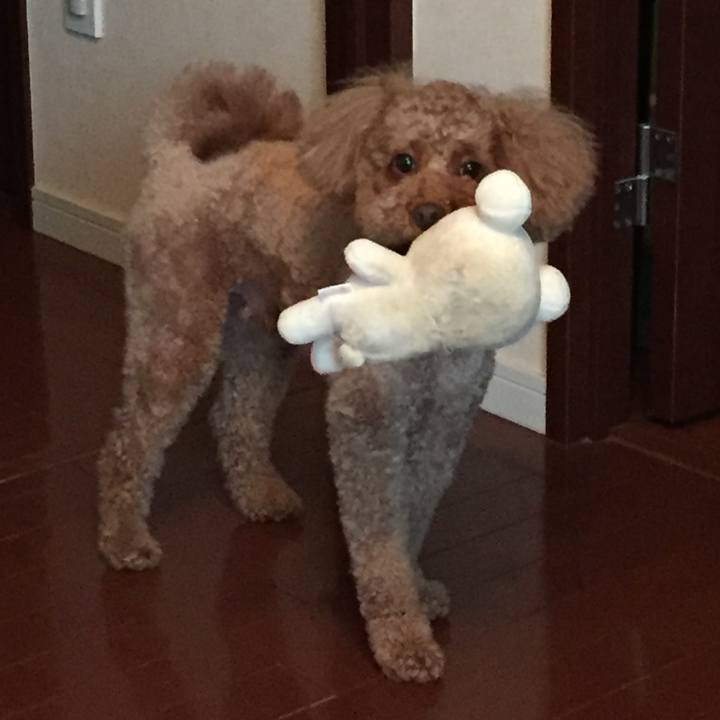 27897adf 8cfa 498e 907d 3ffa4c973459