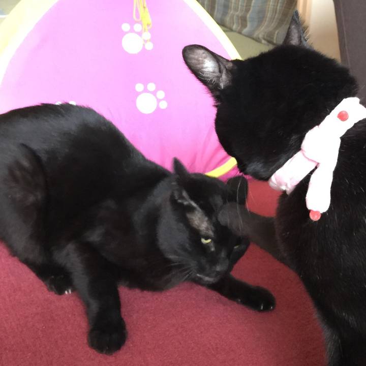 27897c4f 1ad7 45da 90db 1122474ca021