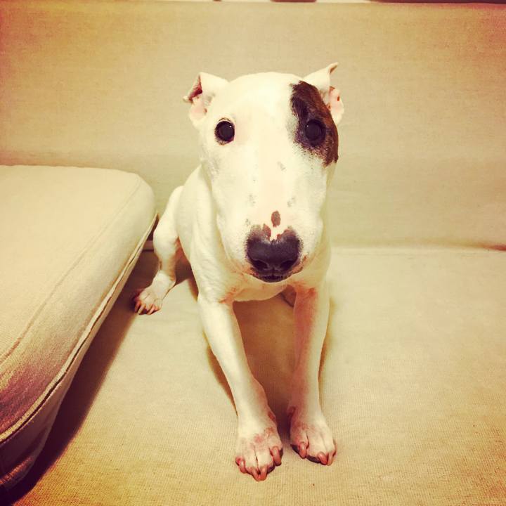 278a3625 958f 4119 97f3 6a8de23d8598