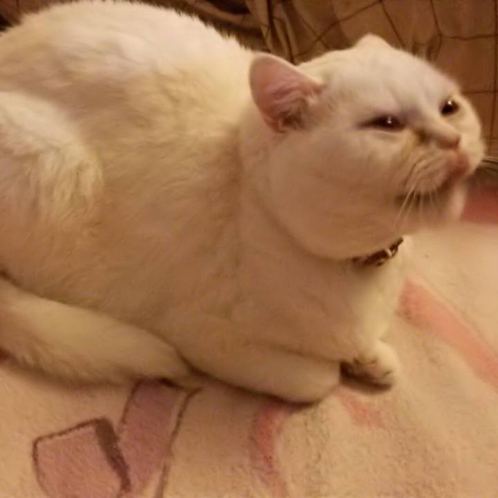 278ac461 fb8a 4d58 bef5 a1a39e8e2aaa