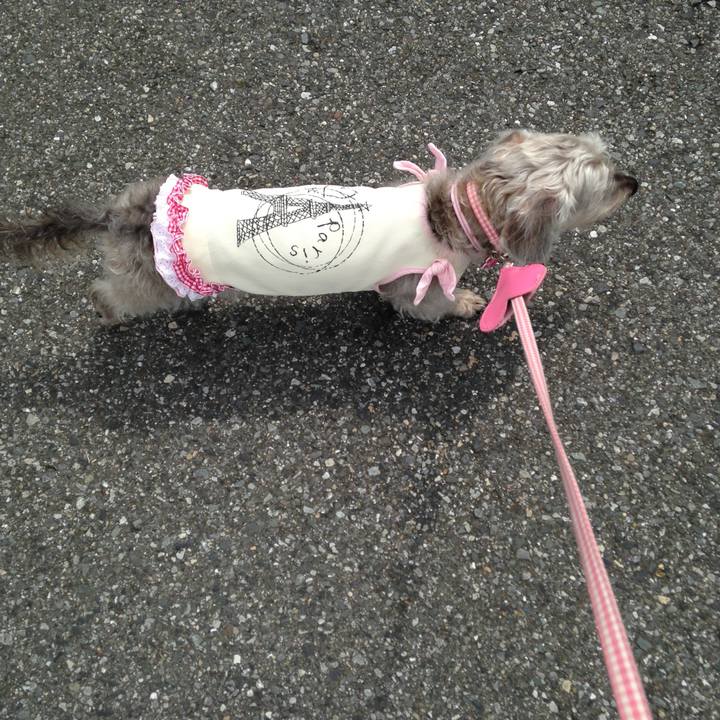 278adf19 5c32 4a3a 8e9e d3065e18bac6