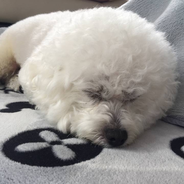 278b1c5a dcf2 421e aa03 5949f8c031ea