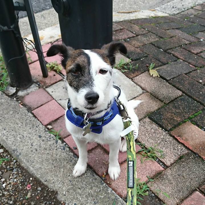 278bac9a 8f2d 4535 a467 ea29f90cfc4d