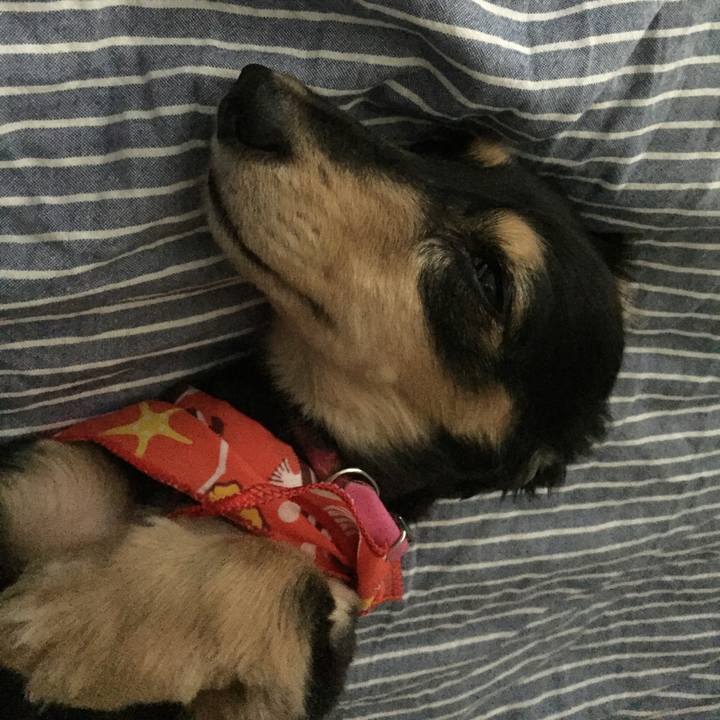 278bbe69 cf66 4a3c 8c83 78eb384b25b3