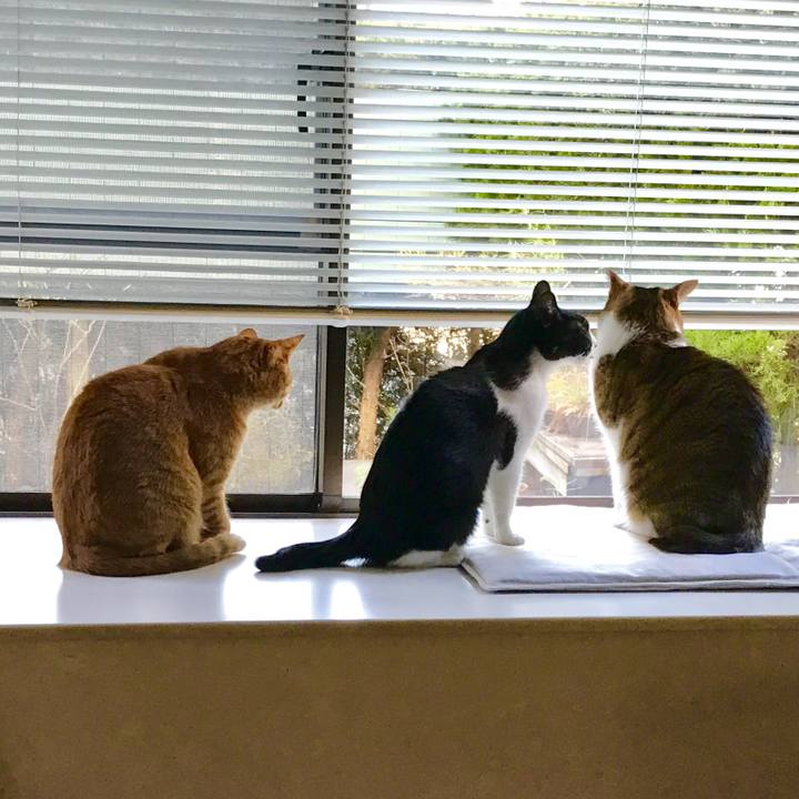 278c1e7a fe6e 455c 9c8c 04fbfd26a493