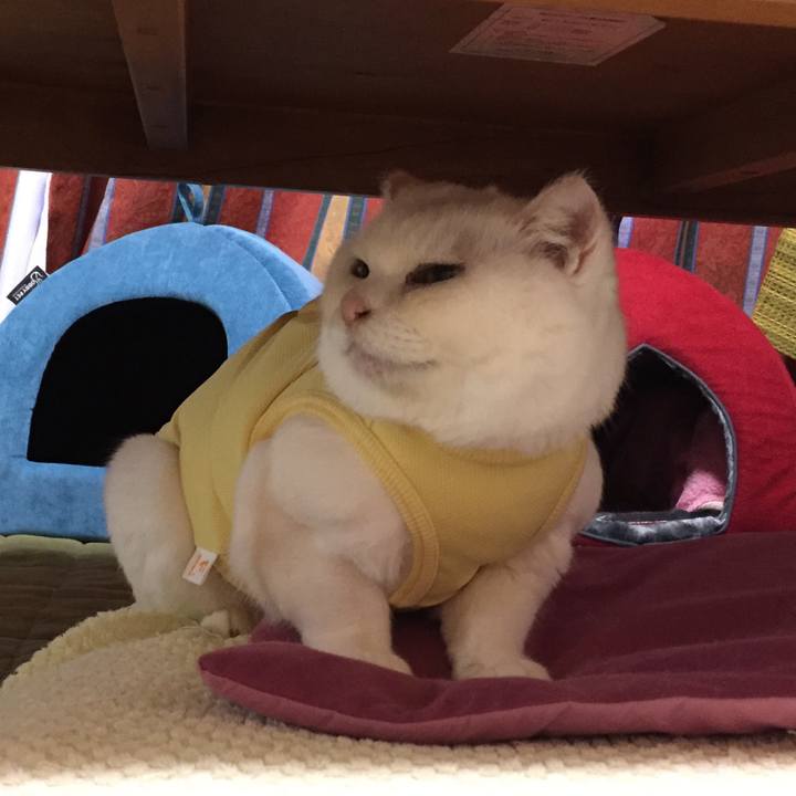 278c2320 1e52 4a32 8aae a051c6a0dcff