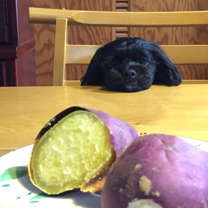 278d023f 57a7 4fcb b7fc 24b275662a4d